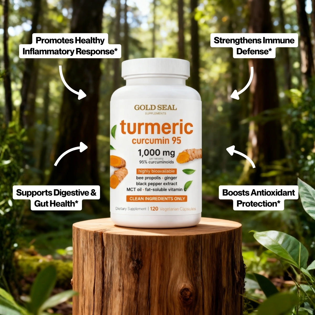 Turmeric Curcumin 1,000mg with Black Pepper & MCT Oil (1 Bottle)